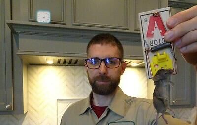 Macon rodent trapping